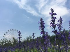-云幽谷旅游区
