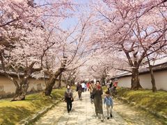 -醍醐寺