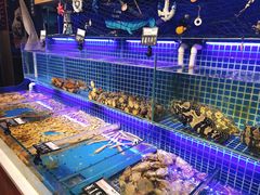 水产区-必点海鲜·鲅鱼水饺(鞍山西道店)