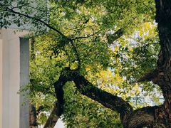 -湖北美术学院(昙华林校区)