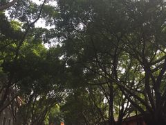 -黄埔古港