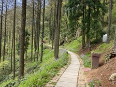 -莫干山风景区