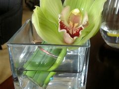 -上海和平饭店-华懋阁 The Cathay Room