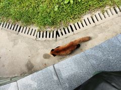 -广州动物园