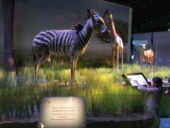-香港科学馆