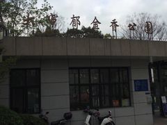 -大宁郁金香公园-停车场