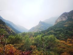 -云岫谷游猎自然风景区