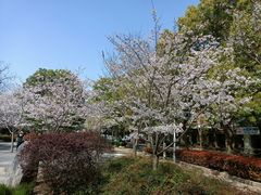 -麦德龙(浦东店)