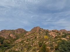 -红山国家森林公园