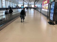 -哈尔滨太平国际机场
