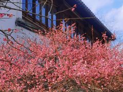 -相门城墙文化休闲景区