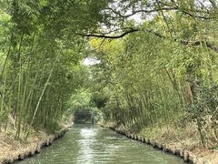 -同里国家湿地公园