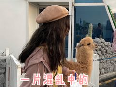-Blue Concept Cafe&Farm·關於藍