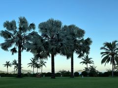 -宴悦海鲜餐厅·游水海鲜·牛排(亚龙湾瑞吉店)