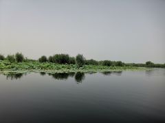 -白洋淀景区
