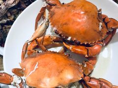 青蟹-杨记海鲜楼(三门黑金冠店)
