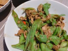 青辣椒炒肉-壹盏灯(惠农店)