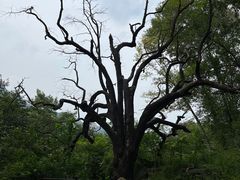 -北京密云天门山风景区
