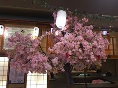 -汤泉良子(金源店)