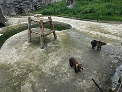 -哈尔滨北方森林动物园