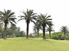 -美兰湖景区