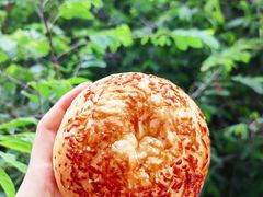 咸蛋黄超人-Juicy Bakery(大学路店)