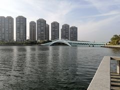 -五缘湾湿地公园
