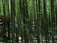 -山王坪喀斯特国家生态公园