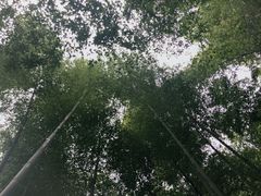 -崀山风景名胜区