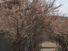 -国际非物质文化遗产博览园