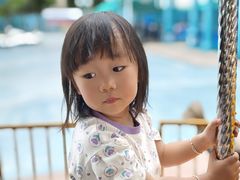 -海合安成都极地海洋公园