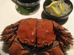 -西郊5号·Maggie 5