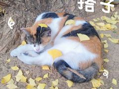 -长春观