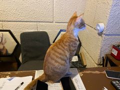 -逃脱反斗城沉浸剧情密室(北京路店)