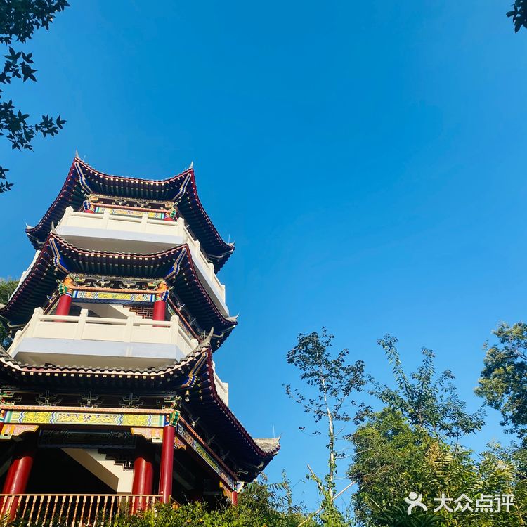 河源万绿湖·最全旅游攻略·附拍照攻略