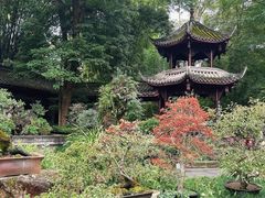 -成都杜甫草堂博物馆