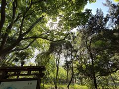 -采石矶景区