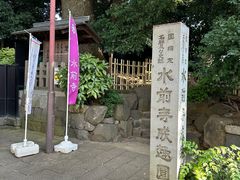 -水前寺成趣园