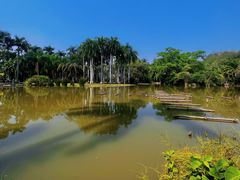 -中国科学院西双版纳热带植物园