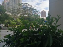 -布吉佳兆业广场