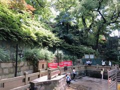 -白沙古井