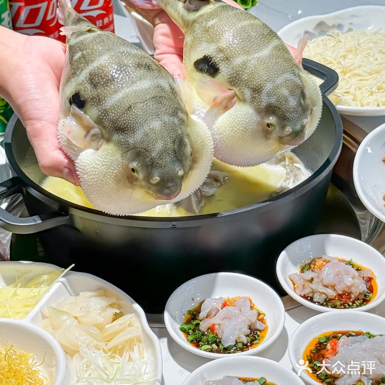 深圳人太野了！连河豚都敢做成刺身！