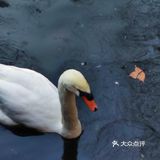 冬天来杭州动物园也有意思