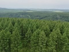 -塞罕坝国家级自然保护区