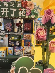 -乐高授权专卖店(朝阳大悦城店)