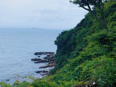 -杨梅坑