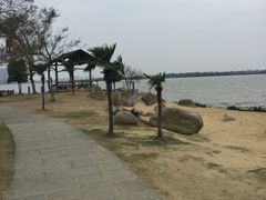 -瑶湖郊野森林公园