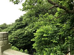 -普陀山风景区-佛顶山