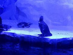 -北海市海滨公园