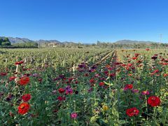 -北京张裕爱斐堡酒庄